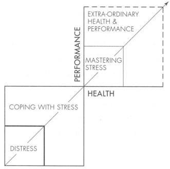 Relaxation Performance and Health Diagram